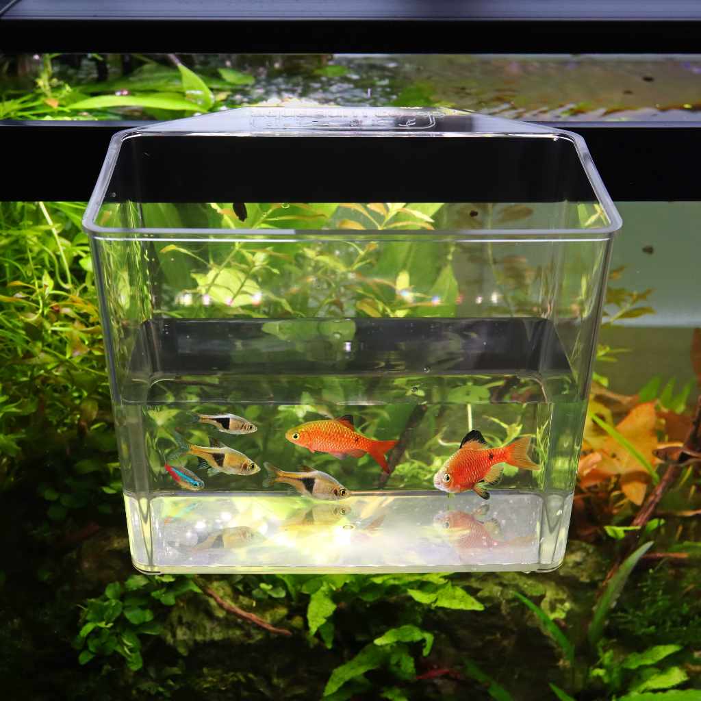 Aquarium Co-Op Unbreakable Catch Cup