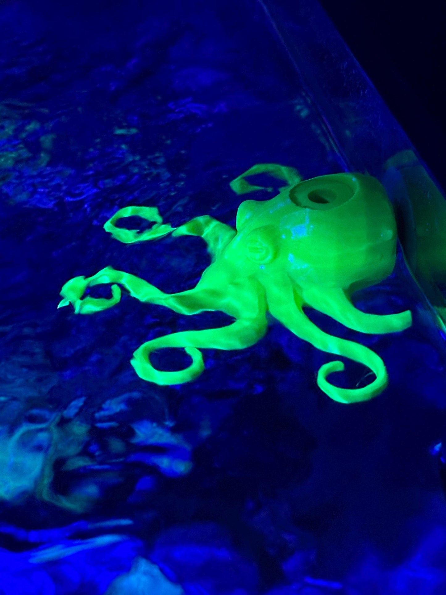 Magnetic Octopus Frag Rack