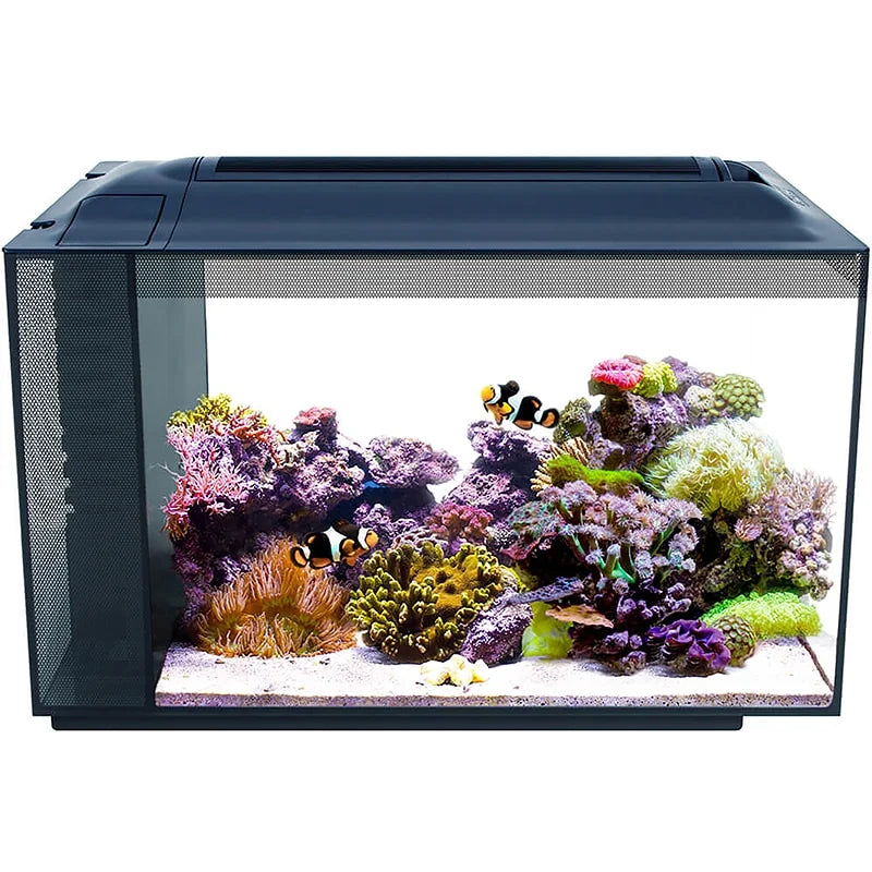 Fluval Evo 13 gallon Aquarium Kit - Black