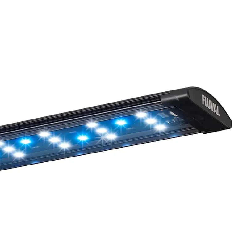 Fluval Evo 13 gallon Aquarium Kit - Black