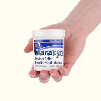 Fritz Maracyn