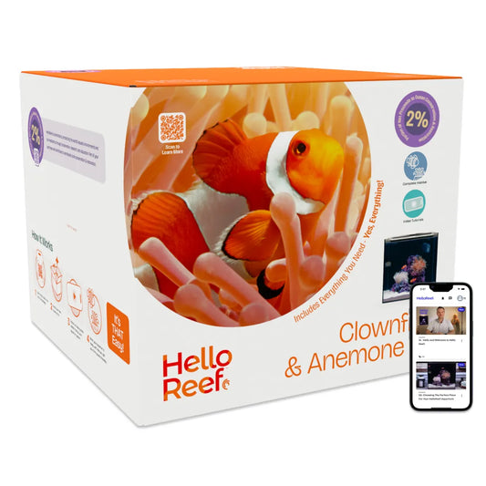 HelloReef 15 gallon Clownfish & Anemone Aquarium Kit