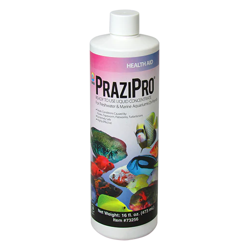 Aquarium Solutions Prazipro - Multiple Sizes