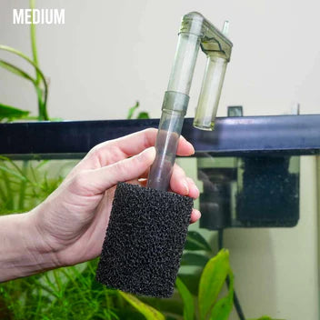 Pre Filter Sponge - Multiple Sizes