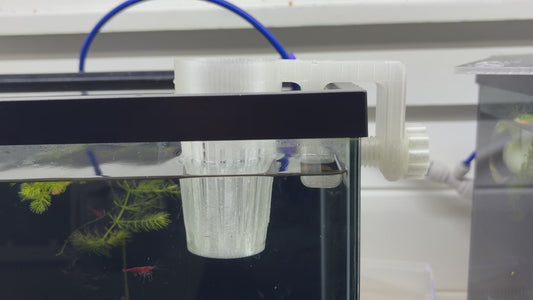 Aquarium Plant Holder
