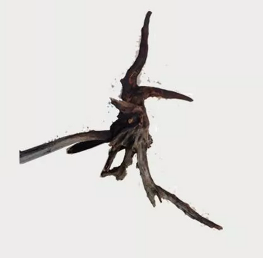 Saba Wood - Med 18-24"