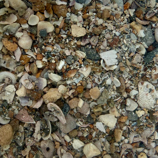 Tampa Bay Saltwater - Ultra Live Sand (Special Order)