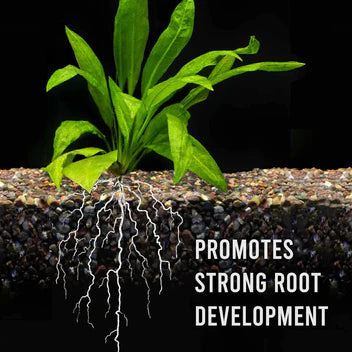 Easy Root Tabs (60 Capsules)