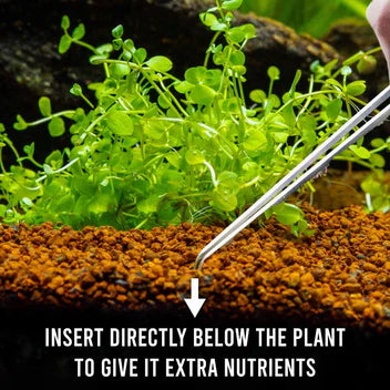 Easy Root Tabs (60 Capsules)