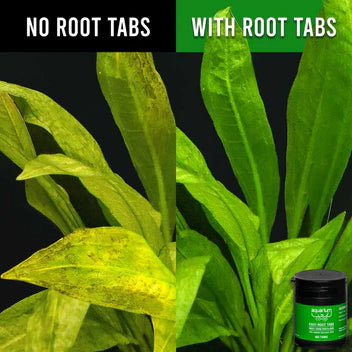 Easy Root Tabs (60 Capsules)