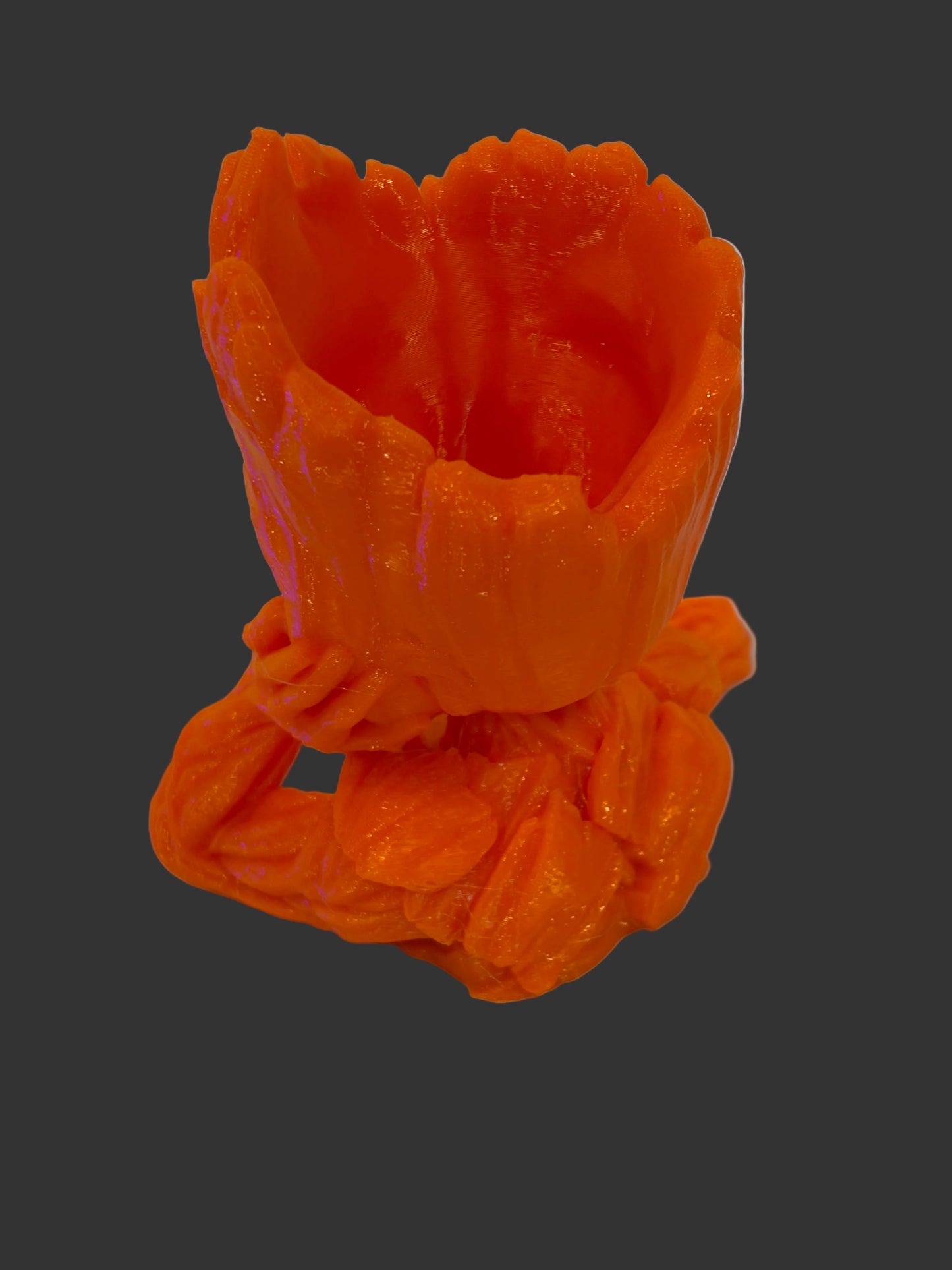 Groot Anemone Holder