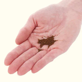 Xtreme Betta Pellets (1mm)
