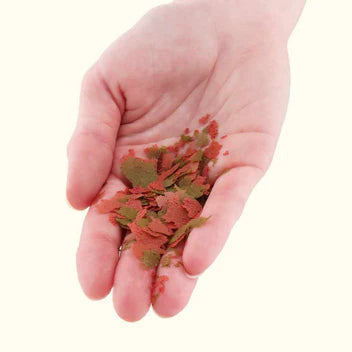 Xtreme Community Crave Flakes