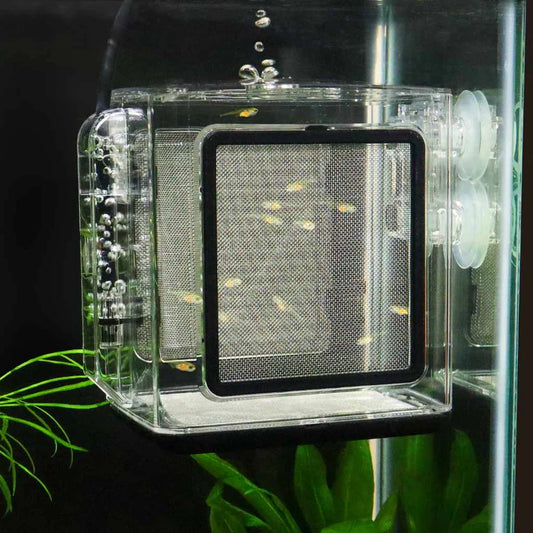 Ziss Premium Breeder Box